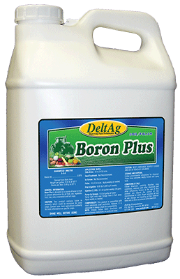 Boron Plus (2.5 Gallons)